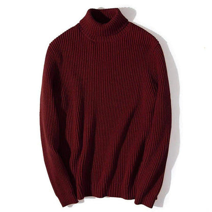 Warm Casual Turtleneck Sweater Regular Fit Wool Men's Pullover