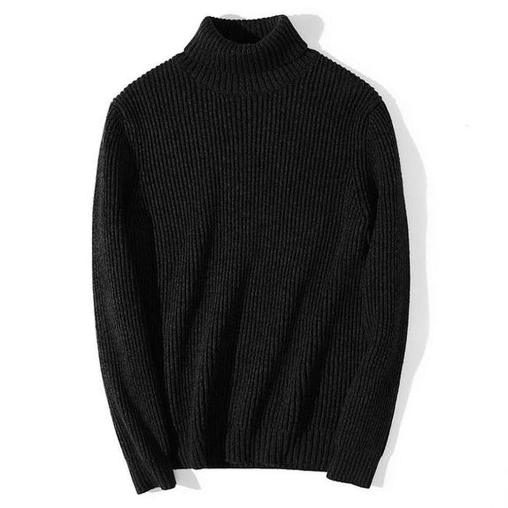 Warm Casual Turtleneck Sweater Regular Fit Wool Men's Pullover