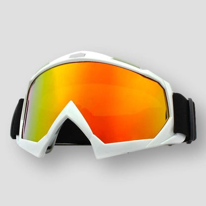 Sky Morris Scottsdale Snowboard / Ski Goggles