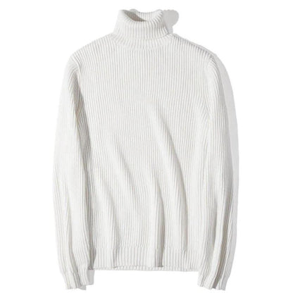 Warm Casual Turtleneck Sweater Regular Fit Wool Men's Pullover